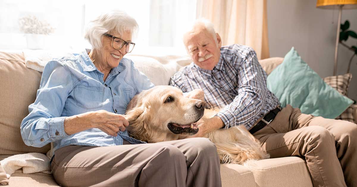 Senior man and women on couch cuddling a golden dog